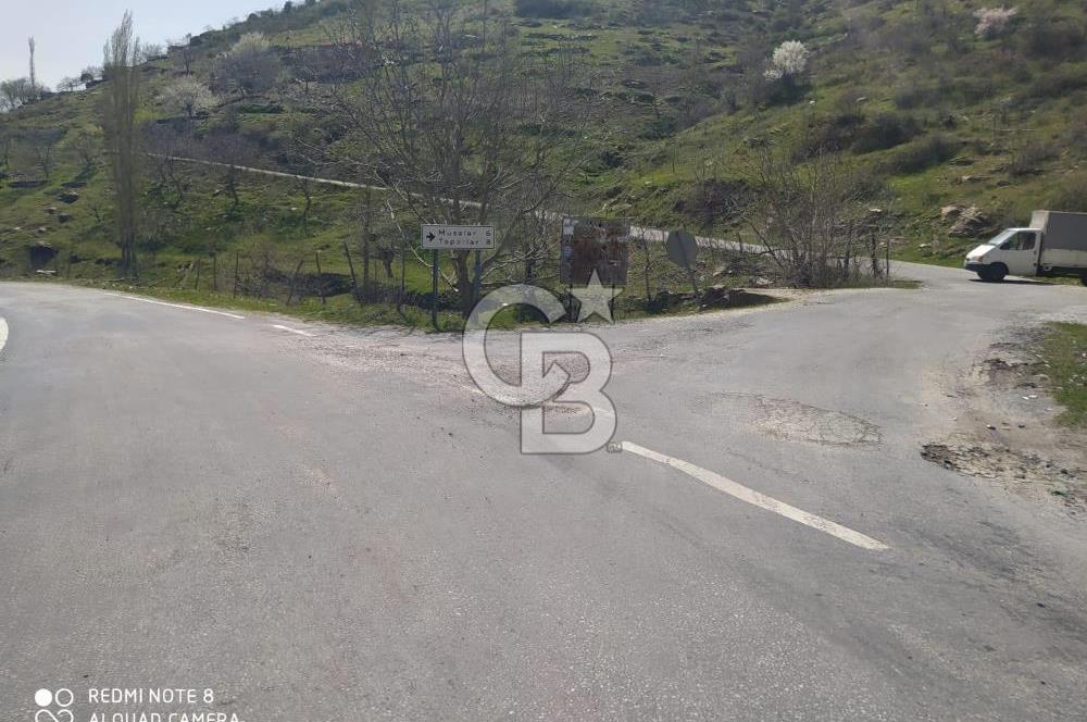 Tire Dağdere'de Su Kaynaklı, Yola Cephe Ceviz Bahçesi"
