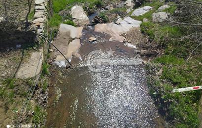 Tire Dağdere'de Su Kaynaklı, Yola Cephe Ceviz Bahçesi"