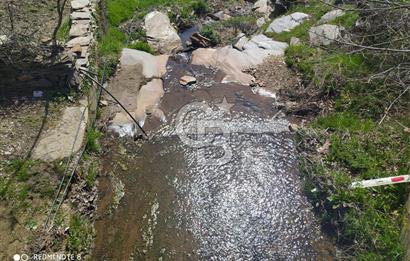 Tire Dağdere'de Su Kaynaklı, Yola Cephe Ceviz Bahçesi"