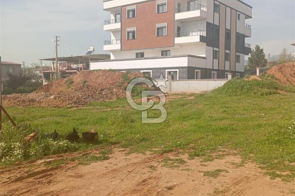 İzmir Torbalı Yazıbaşı Mahallesi'nde Konut İmarlı Satılık Arsa