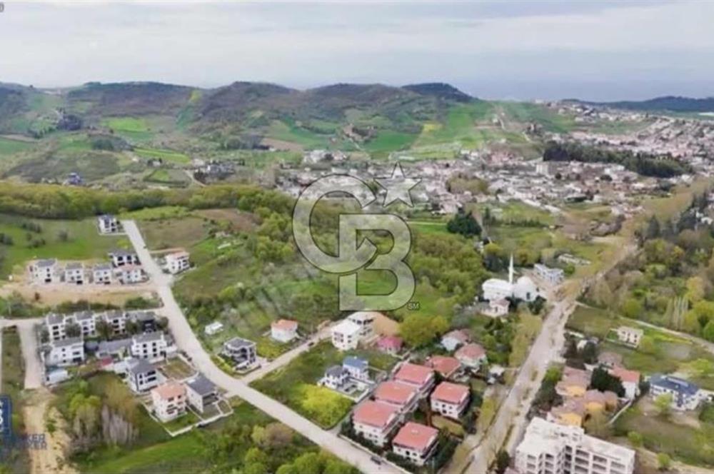 YALOVA SAMANLI ÖZBEK CAMİİ ÜSTÜNDE SATILIK BAĞ 3.290 m²