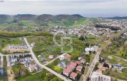 YALOVA SAMANLI ÖZBEK CAMİİ ÜSTÜNDE SATILIK BAĞ 3.290 m²