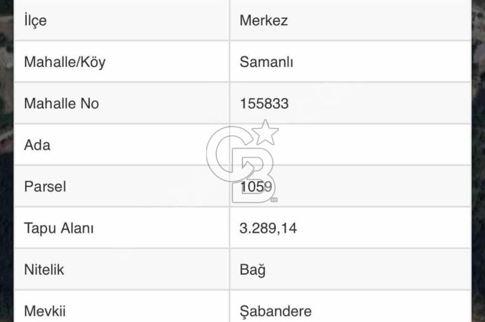 YALOVA SAMANLI ÖZBEK CAMİİ ÜSTÜNDE SATILIK BAĞ 3.290 m²