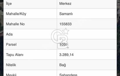 YALOVA SAMANLI ÖZBEK CAMİİ ÜSTÜNDE SATILIK BAĞ 3.290 m²
