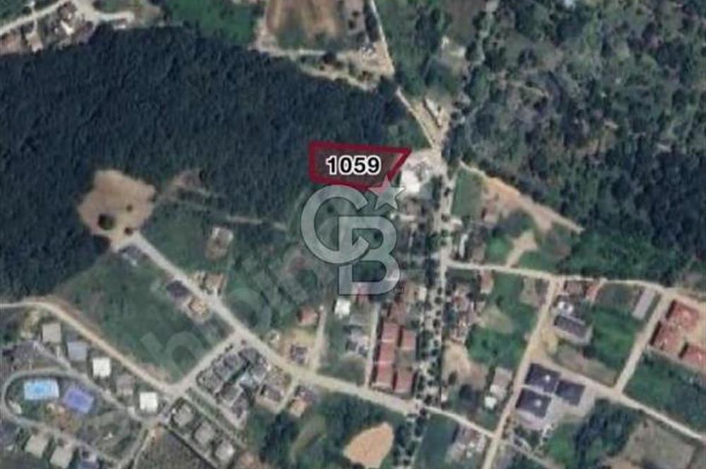 YALOVA SAMANLI ÖZBEK CAMİİ ÜSTÜNDE SATILIK BAĞ 3.290 m²