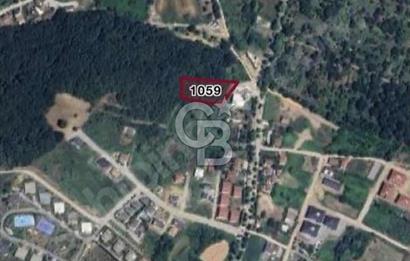YALOVA SAMANLI ÖZBEK CAMİİ ÜSTÜNDE SATILIK BAĞ 3.290 m²