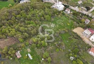 YALOVA SAMANLI ÖZBEK CAMİİ ÜSTÜNDE SATILIK BAĞ 3.290 m² - 10 - 358735