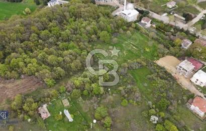 YALOVA SAMANLI ÖZBEK CAMİİ ÜSTÜNDE SATILIK BAĞ 3.290 m²