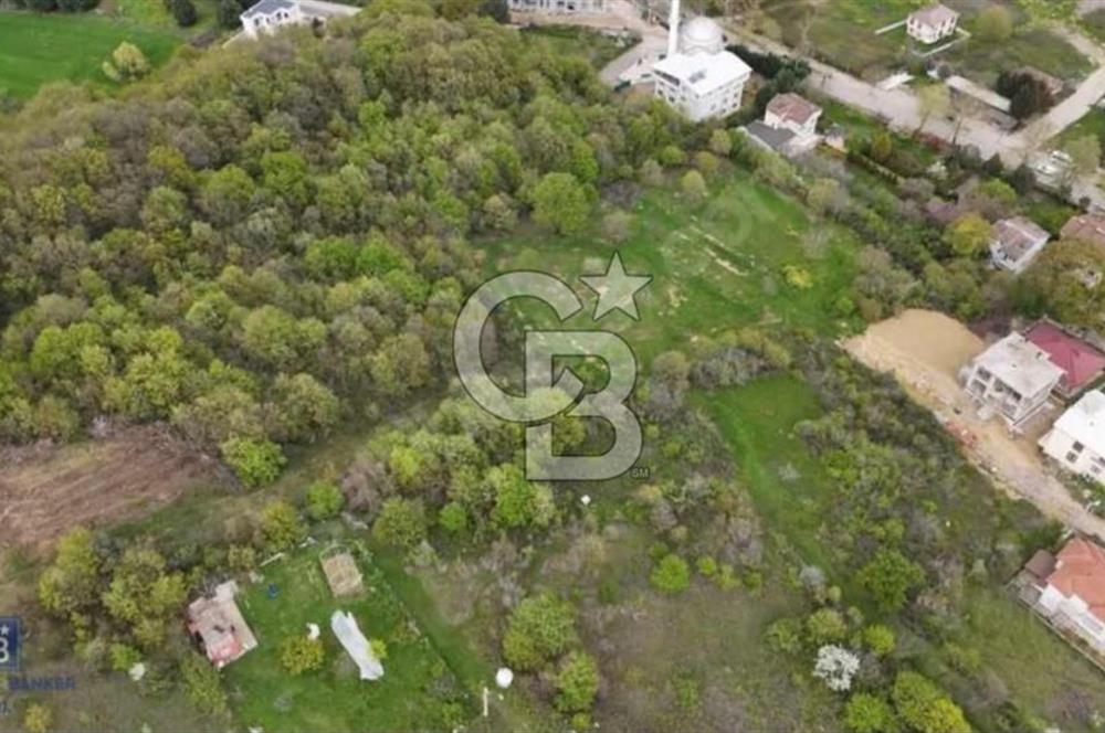 YALOVA SAMANLI ÖZBEK CAMİİ ÜSTÜNDE SATILIK BAĞ 3.290 m²