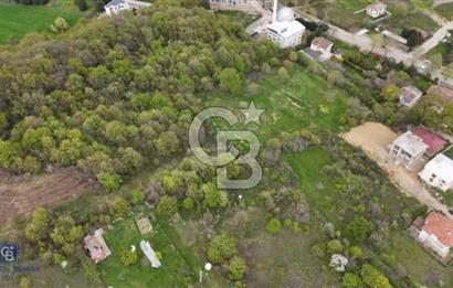 YALOVA SAMANLI ÖZBEK CAMİİ ÜSTÜNDE SATILIK BAĞ 3.290 m²