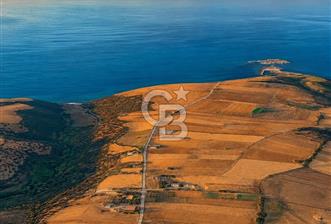 Biga Değirmencikte Deniz Manzaralı 7700 m2 Köy İmarlı Arsa - 1 - 358660