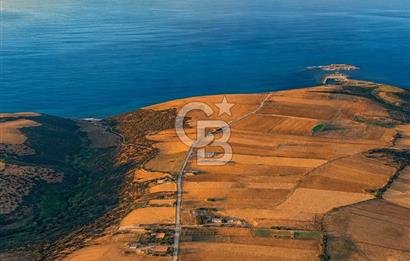 Biga Değirmencikte Deniz Manzaralı 7700 m2 Köy İmarlı Arsa