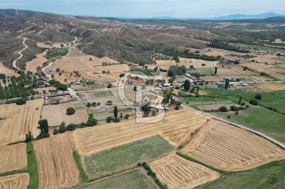 ASFALT YOLA CEPHE 6.063 M2 SATILIK TARLA!!