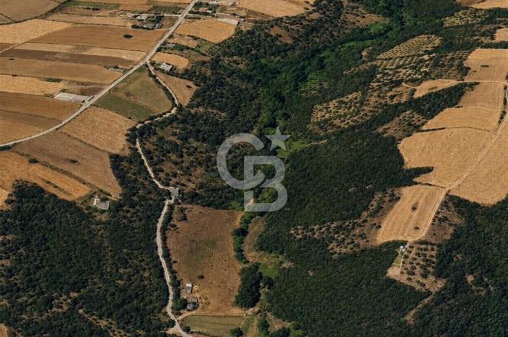 Biga Değirmencikte Deniz Manzaralı 7700 m2 Köy İmarlı Arsa