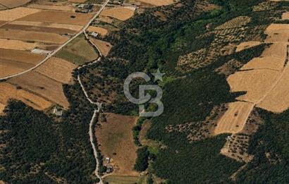 Biga Değirmencikte Deniz Manzaralı 7700 m2 Köy İmarlı Arsa