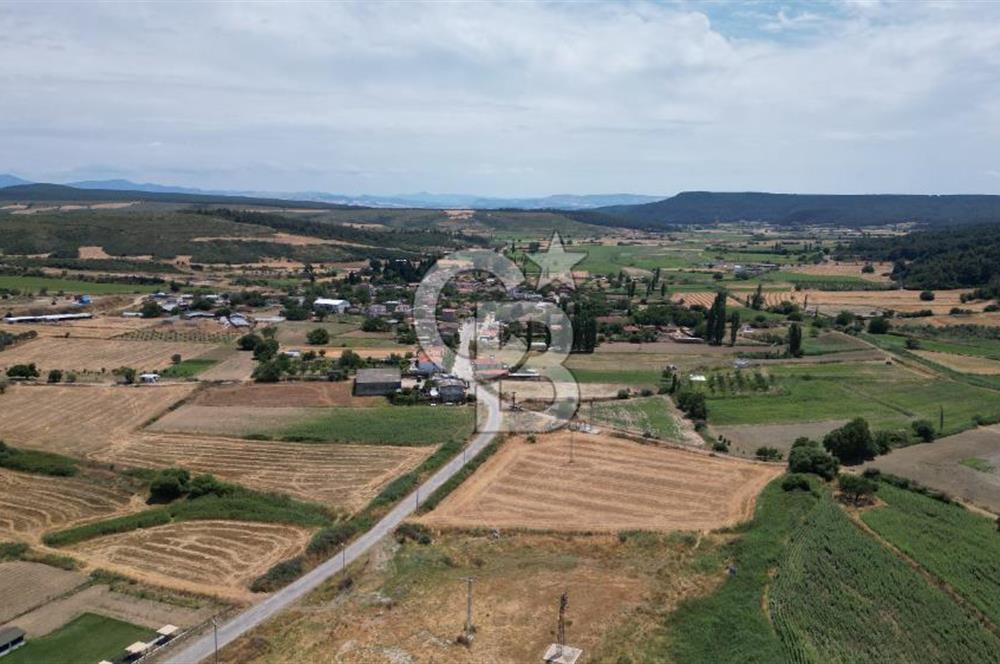 ASFALT YOLA CEPHE 6.063 M2 SATILIK TARLA!!