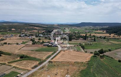 ASFALT YOLA CEPHE 6.063 M2 SATILIK TARLA!!
