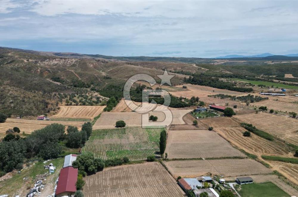 ASFALT YOLA CEPHE 6.063 M2 SATILIK TARLA!!