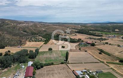 ASFALT YOLA CEPHE 6.063 M2 SATILIK TARLA!!
