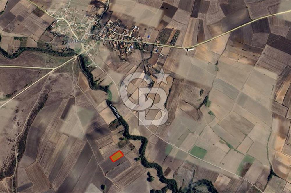 Yatırıma Uygun! 491,41 m² Hisseli Tarla
