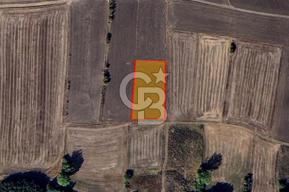 Yatırıma Uygun! 491,41 m² Hisseli Tarla