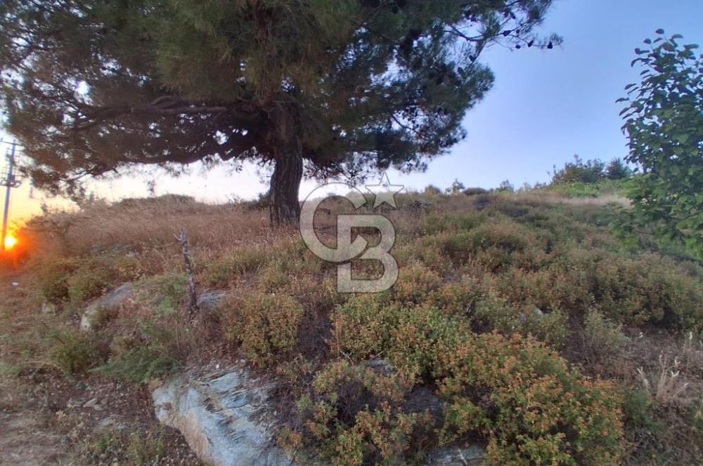 Kavacık Köyünde Deniz Manzaralı Bağ