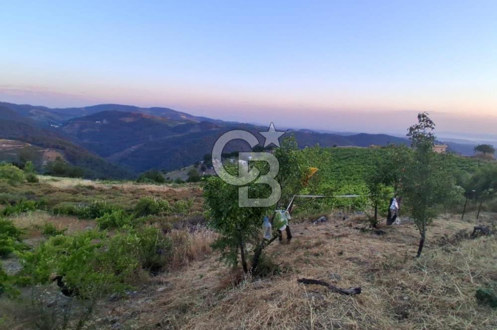 Kavacık Köyünde Deniz Manzaralı Bağ