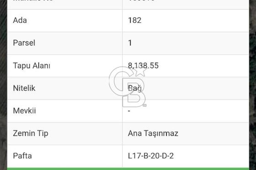 Kavacık Köyünde Deniz Manzaralı Bağ