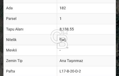 Kavacık Köyünde Deniz Manzaralı Bağ