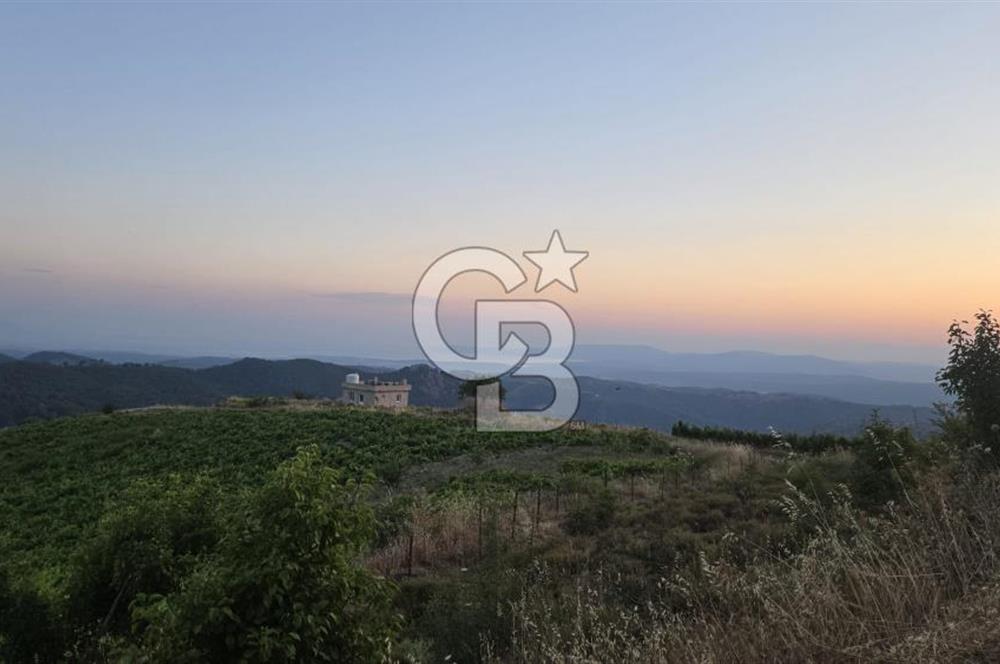 Kavacık Köyünde Deniz Manzaralı Bağ