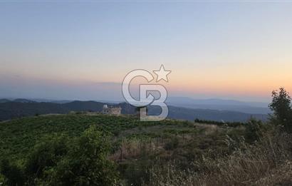 Kavacık Köyünde Deniz Manzaralı Bağ