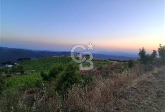 Kavacık Köyünde Deniz Manzaralı Bağ - 1 - 358681