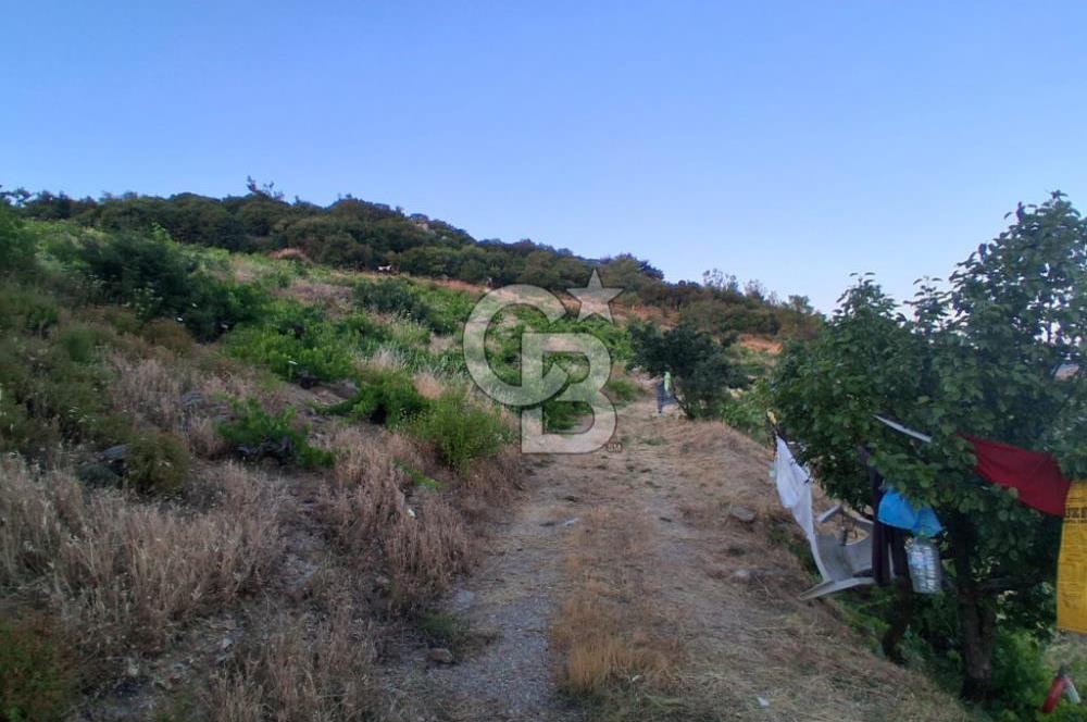 Kavacık Köyünde Deniz Manzaralı Bağ