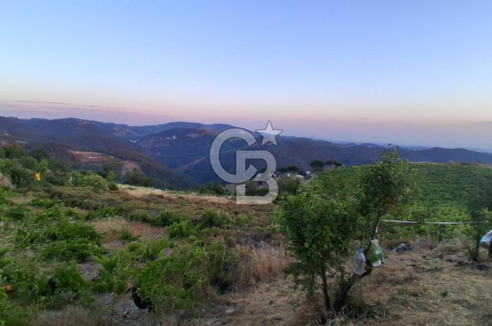 Kavacık Köyünde Deniz Manzaralı Bağ
