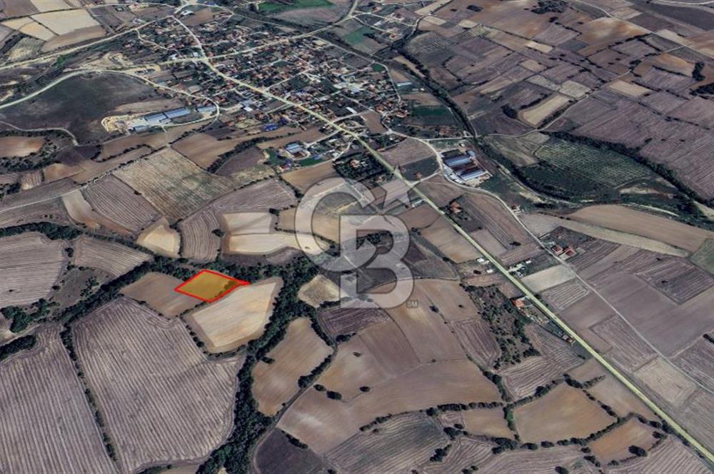Yerleşime Yakın Konumda 323 m² Satılık  Tarla