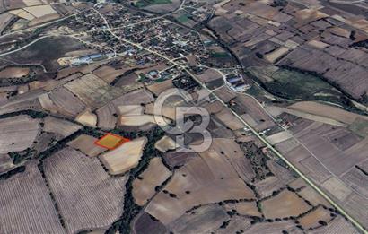 Yerleşime Yakın Konumda 323 m² Satılık  Tarla