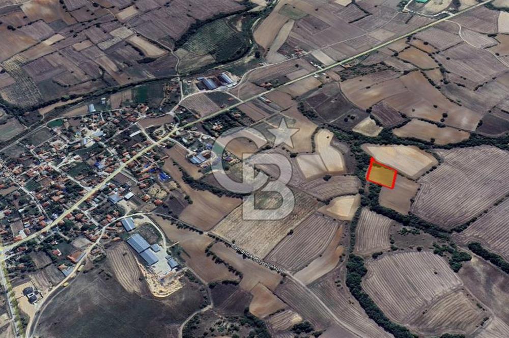 Yerleşime Yakın Konumda 323 m² Satılık  Tarla