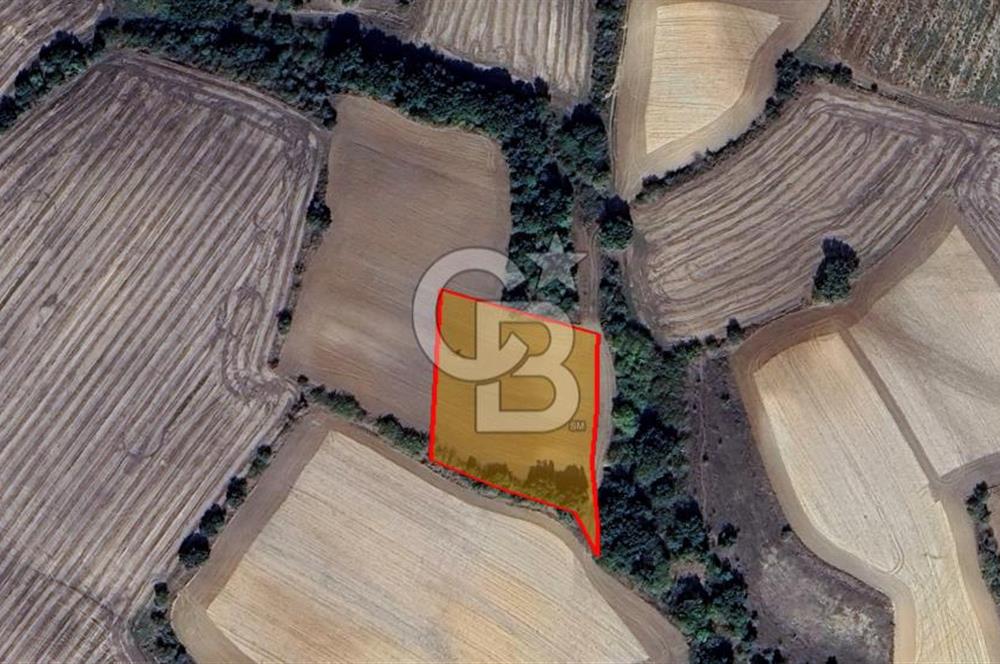 Yerleşime Yakın Konumda 323 m² Satılık  Tarla