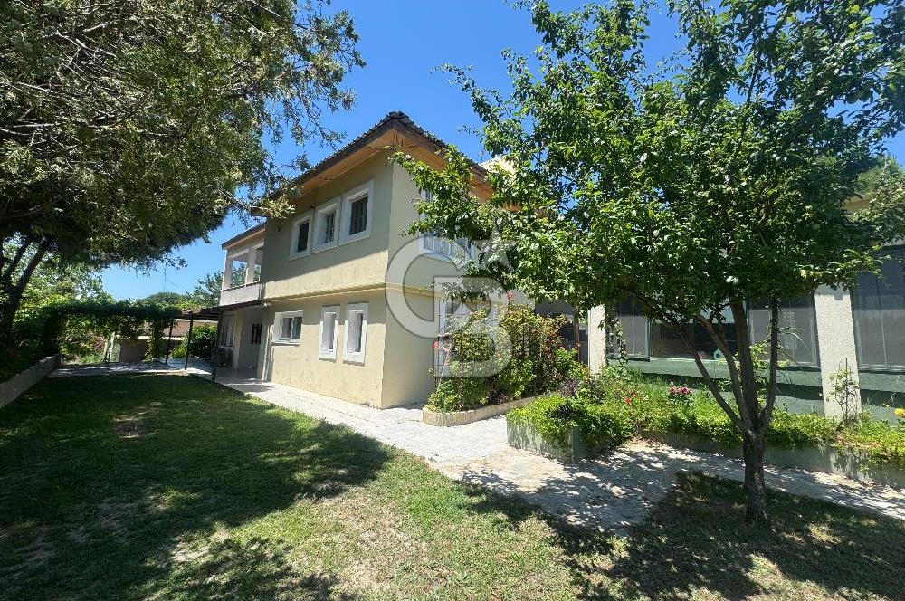 Kuşadası Yaylaköy'de 39 Dönüm Üretime Hazır Tarla
