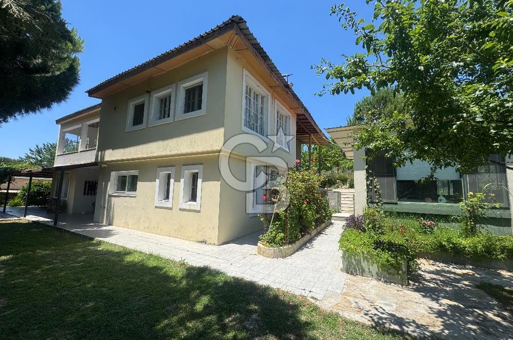 Kuşadası Yaylaköy'de 39 Dönüm Üretime Hazır Tarla