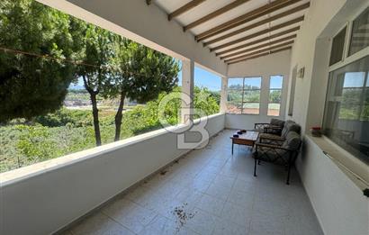 Kuşadası Yaylaköy'de 39 Dönüm Üretime Hazır Tarla