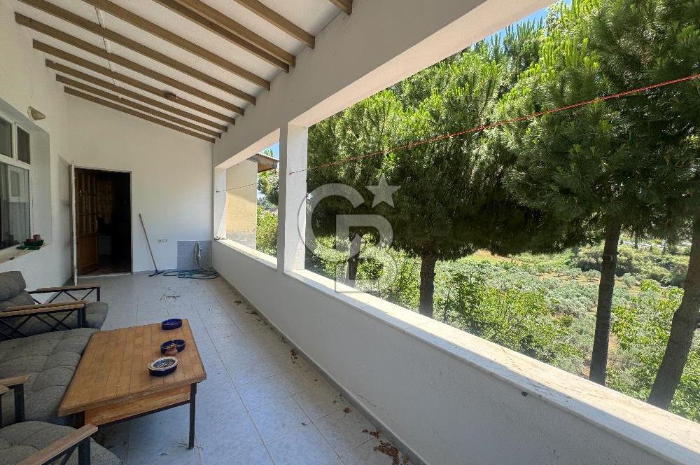 Kuşadası Yaylaköy'de 39 Dönüm Üretime Hazır Tarla