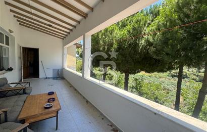 Kuşadası Yaylaköy'de 39 Dönüm Üretime Hazır Tarla
