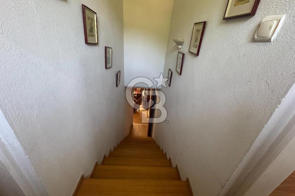 Kuşadası Yaylaköy'de 39 Dönüm Üretime Hazır Tarla