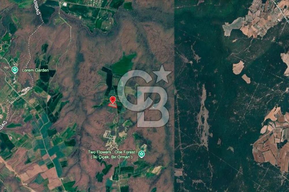SİLİVRİ ÇAYIRDERE'DE 4.000 m² HİSSELİ TARLA | YATIRIMLIK FIRSAT