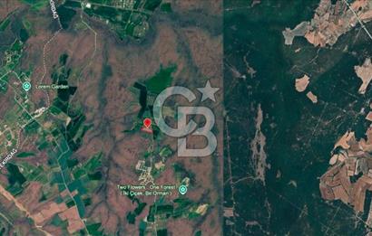 SİLİVRİ ÇAYIRDERE'DE 4.000 m² HİSSELİ TARLA | YATIRIMLIK FIRSAT