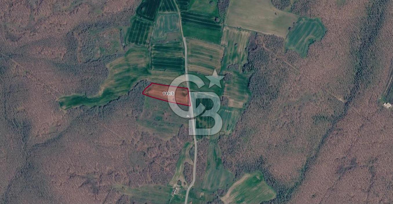 SİLİVRİ ÇAYIRDERE'DE 4.000 m² HİSSELİ TARLA | YATIRIMLIK FIRSAT