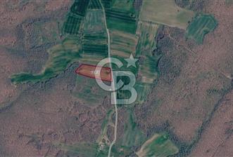 SİLİVRİ ÇAYIRDERE'DE 4.000 m² HİSSELİ TARLA | YATIRIMLIK FIRSAT - 1 - 358949