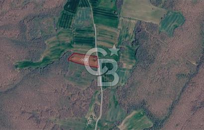 SİLİVRİ ÇAYIRDERE'DE 4.000 m² HİSSELİ TARLA | YATIRIMLIK FIRSAT