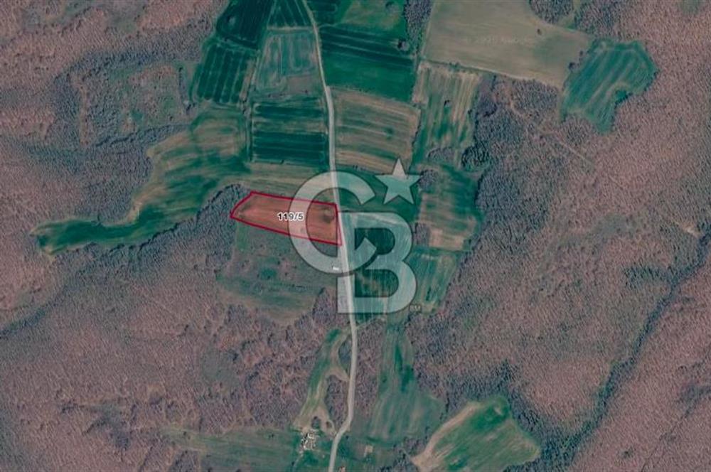 SİLİVRİ ÇAYIRDERE'DE 4.000 m² HİSSELİ TARLA | YATIRIMLIK FIRSAT